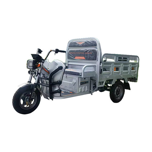 800-2000W Motor Electric 3-Wheel Cargo Loader