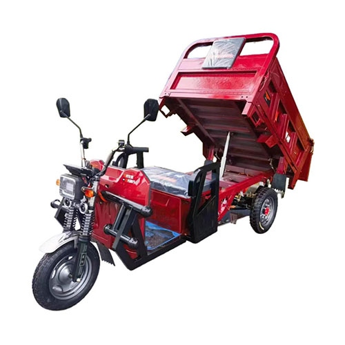Cargo Electric Tricycles Motorcycle Adult with Three Wheels