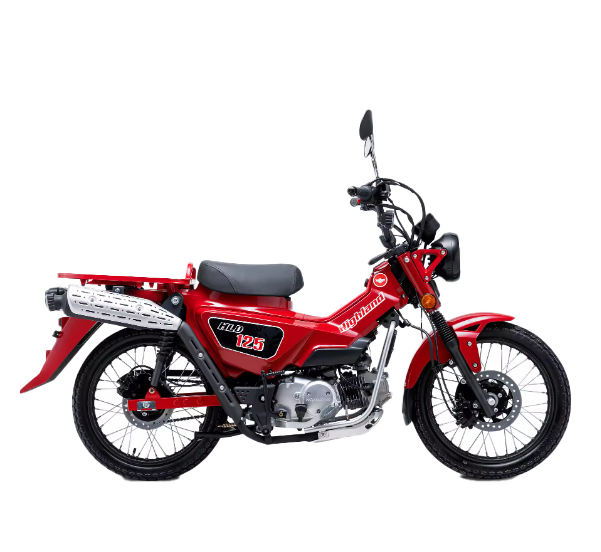 125cc cub gasoline motorcycle suit for South America, Asia and Africa market